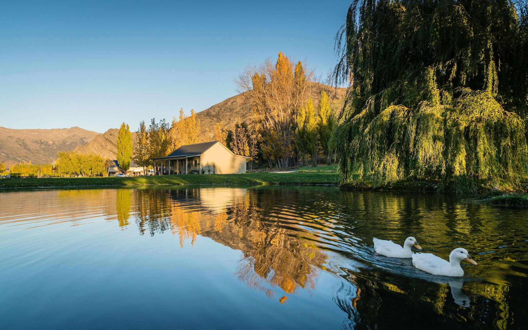 Cottages At Kinross Gibbston 外观 照片